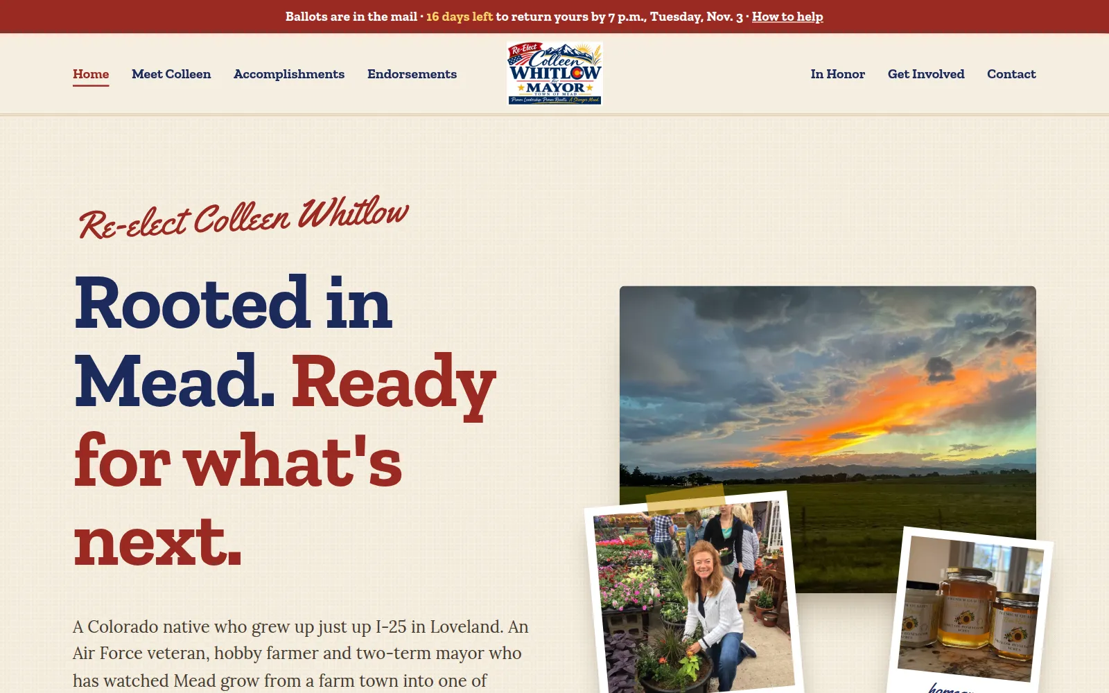 The campaign home page